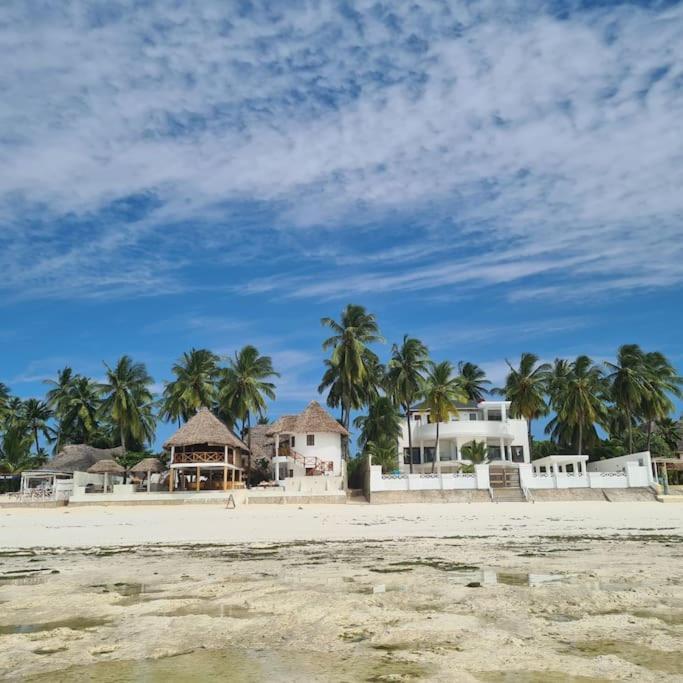 Ark Zanzibar *